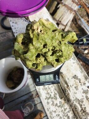 Fiji Dry Base Rock for Saltwater Aquarium Setup Natural Reef Rock Aquascaping